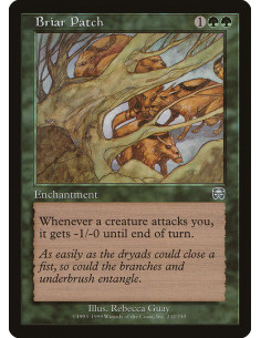Briar Patch - Foil
