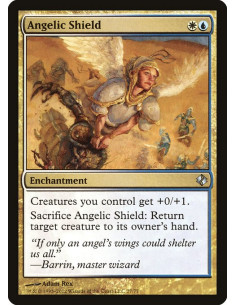 Angelic Shield