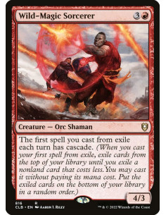 Wild-Magic Sorcerer