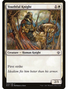 Youthful Knight