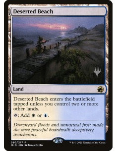 Deserted Beach - Foil