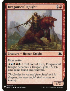Dragonsoul Knight