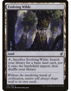 Evolving Wilds