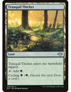Tranquil Thicket