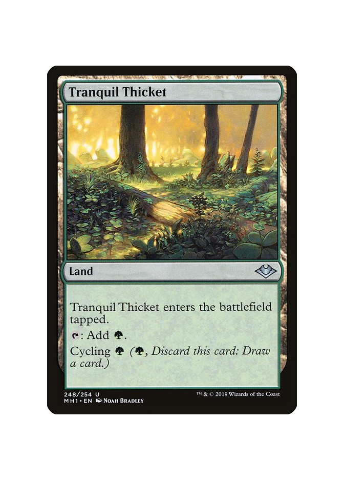 Tranquil Thicket - Foil