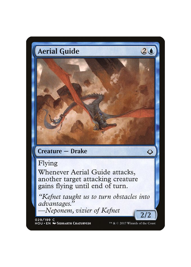 Aerial Guide - Foil