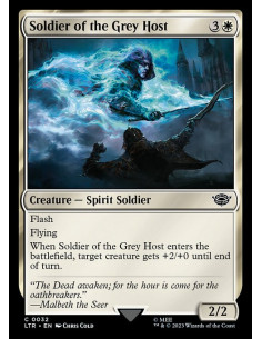 Soldier of the Grey Host