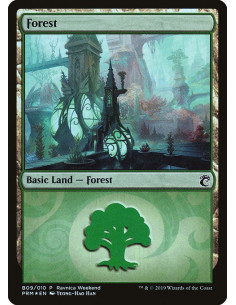 Forest - Foil