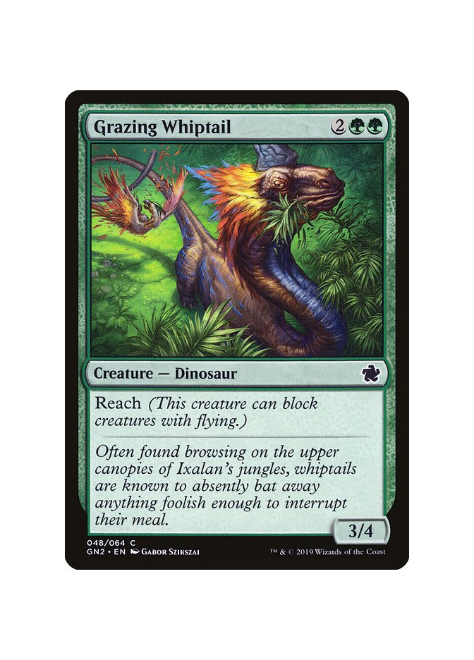 Grazing Whiptail