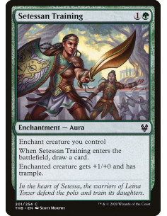 Setessan Training - Foil