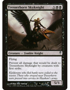 Tresserhorn Skyknight