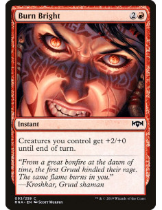 Burn Bright - Foil