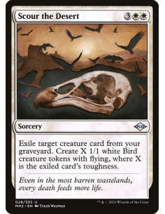 Scour the Desert - Foil