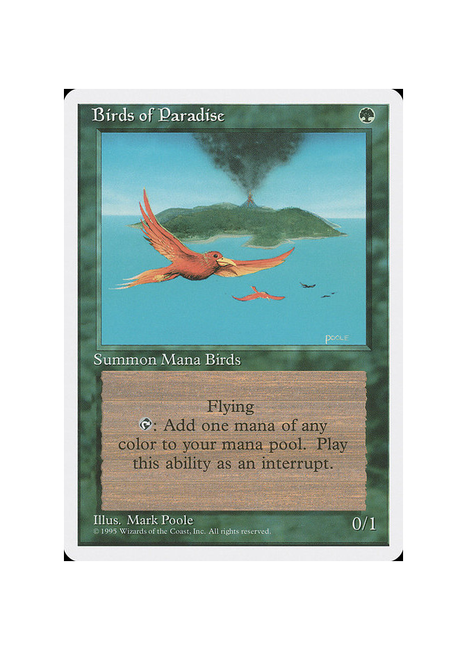 Birds of Paradise