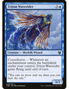 Triton Waverider