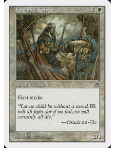 Youthful Knight