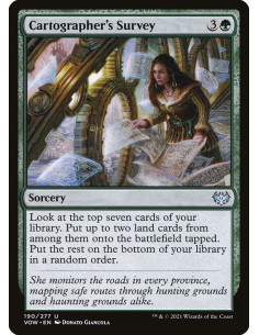 Cartographer's Survey - Foil
