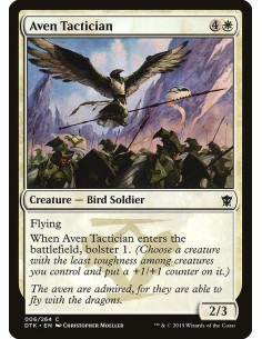 Aven Tactician