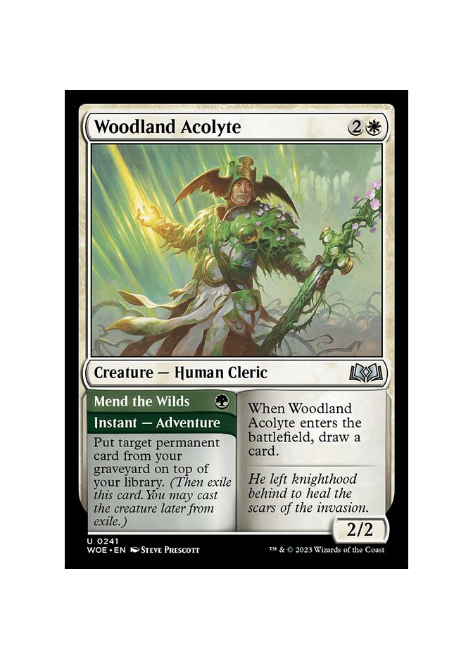 Woodland Acolyte // Mend the Wilds