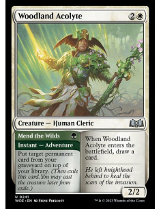 Woodland Acolyte // Mend the Wilds - Foil