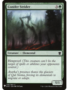 Conifer Strider