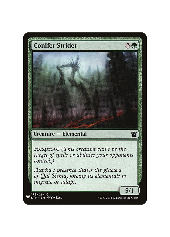 Conifer Strider