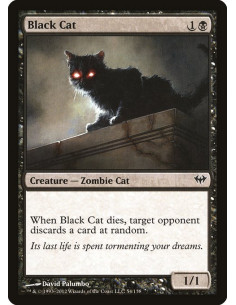 Black Cat