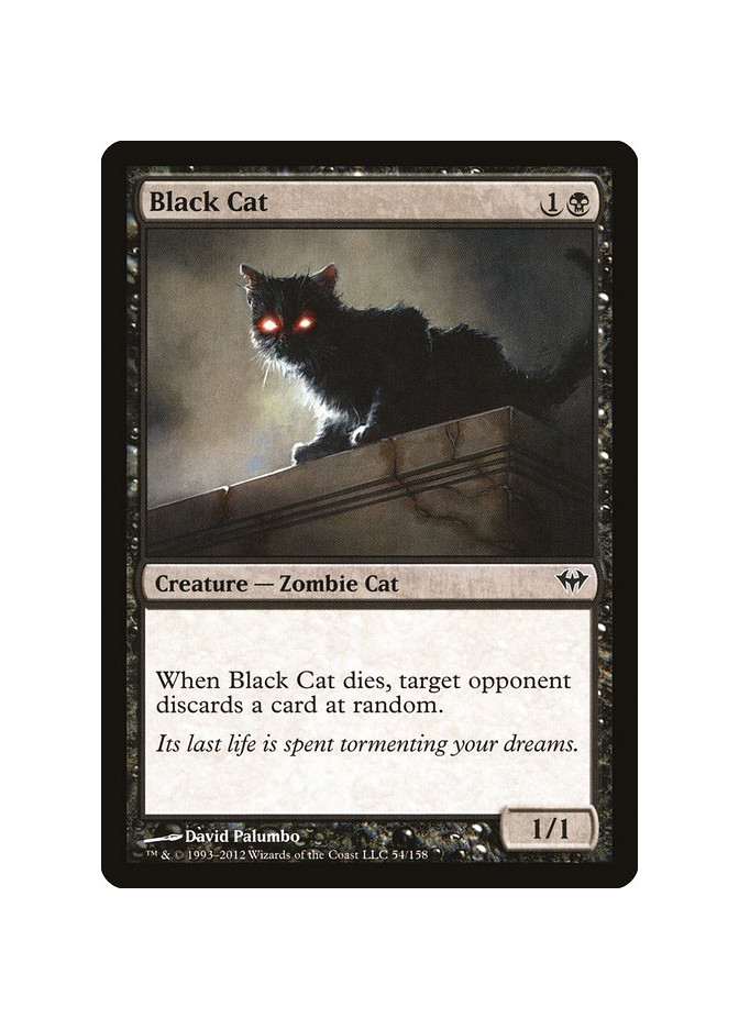 Black Cat