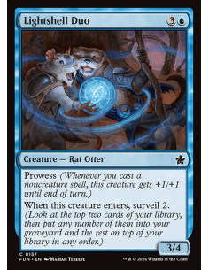 Lightshell Duo - Foil