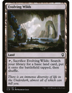 Evolving Wilds