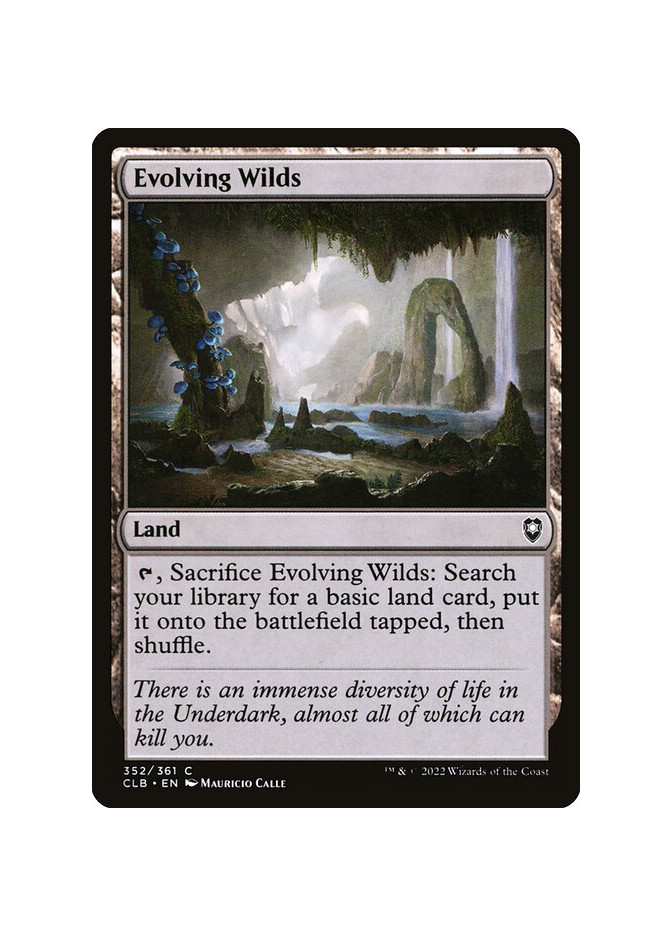 Evolving Wilds