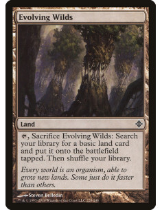 Evolving Wilds
