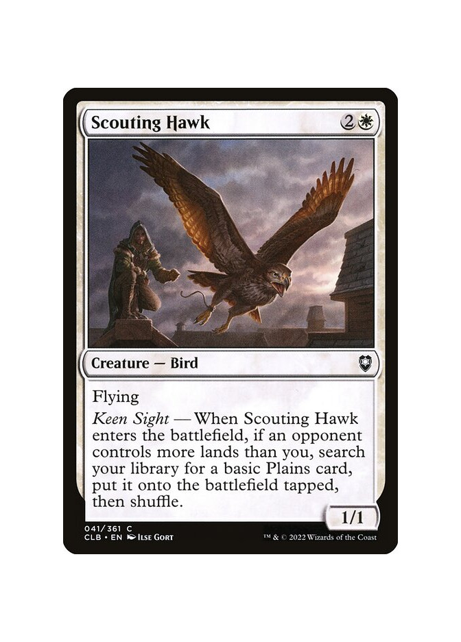 Scouting Hawk