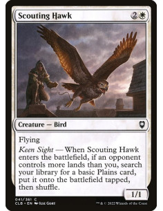 Scouting Hawk - Foil