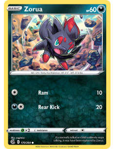 Zorua