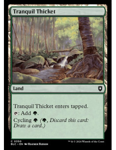 Tranquil Thicket