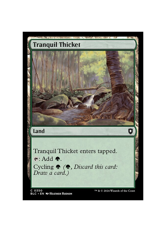 Tranquil Thicket