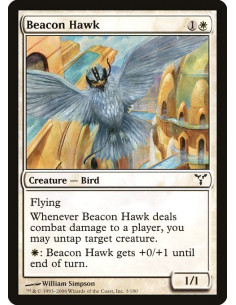 Beacon Hawk