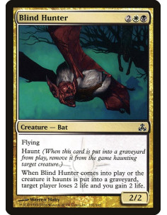 Blind Hunter