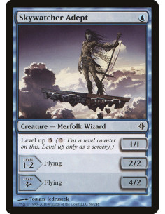 Skywatcher Adept - Foil
