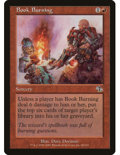 Book Burning - Foil