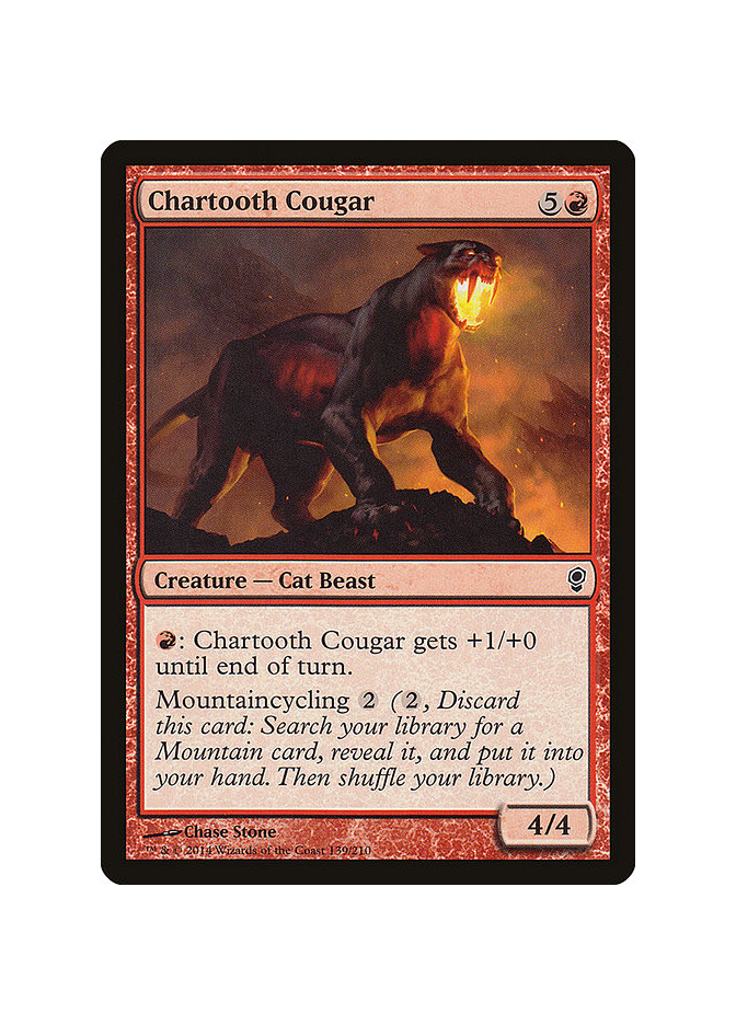 Chartooth Cougar