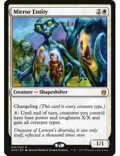 Mirror Entity