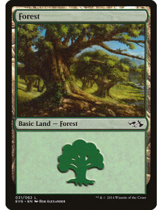 Forest