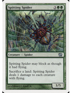 Spitting Spider