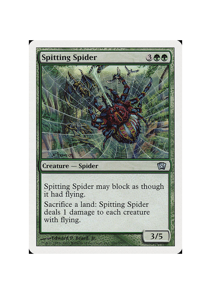 Spitting Spider