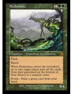 Endurance - Foil