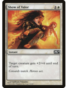 Show of Valor