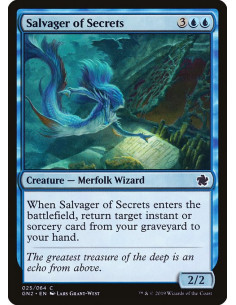 Salvager of Secrets