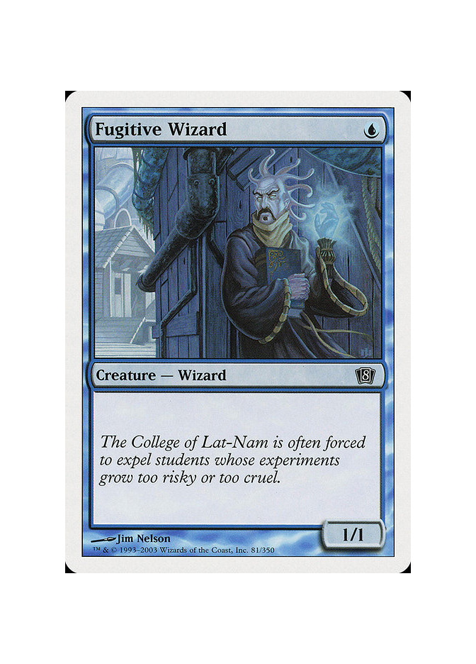 Fugitive Wizard